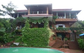 Tree House